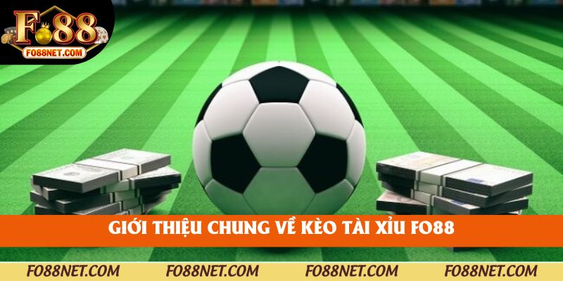 Giới thiệu chung về kèo tài xỉu fo88